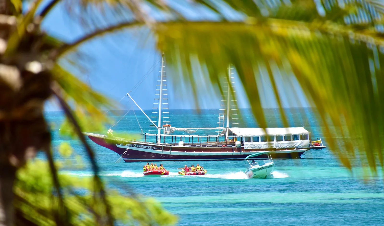 Sailing ship on turquoise water seen through palm leaves in Aruba